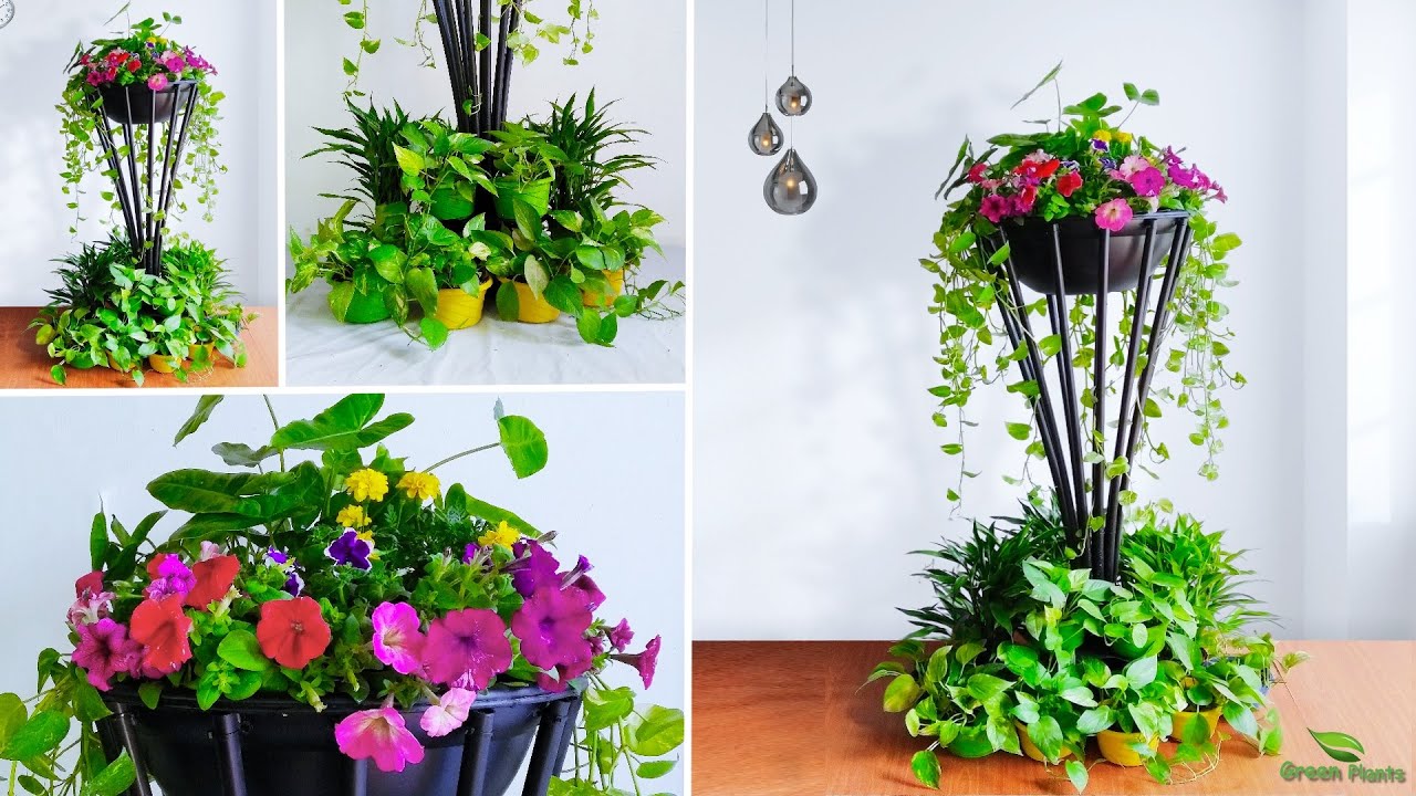 How to Transform Your Home with Beautiful Rodgers Plants